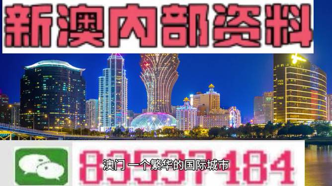 2024澳门精准正版图库精选解释解析落实,澳门正版图库精选解析与落实策略，迈向精准的未来展望（2024版）