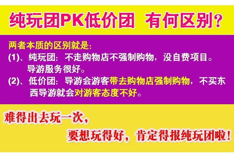 新澳2025天天正版资料大全,精选解析解释落实,新澳2025天天正版资料大全与精选解析，深入探索与落实