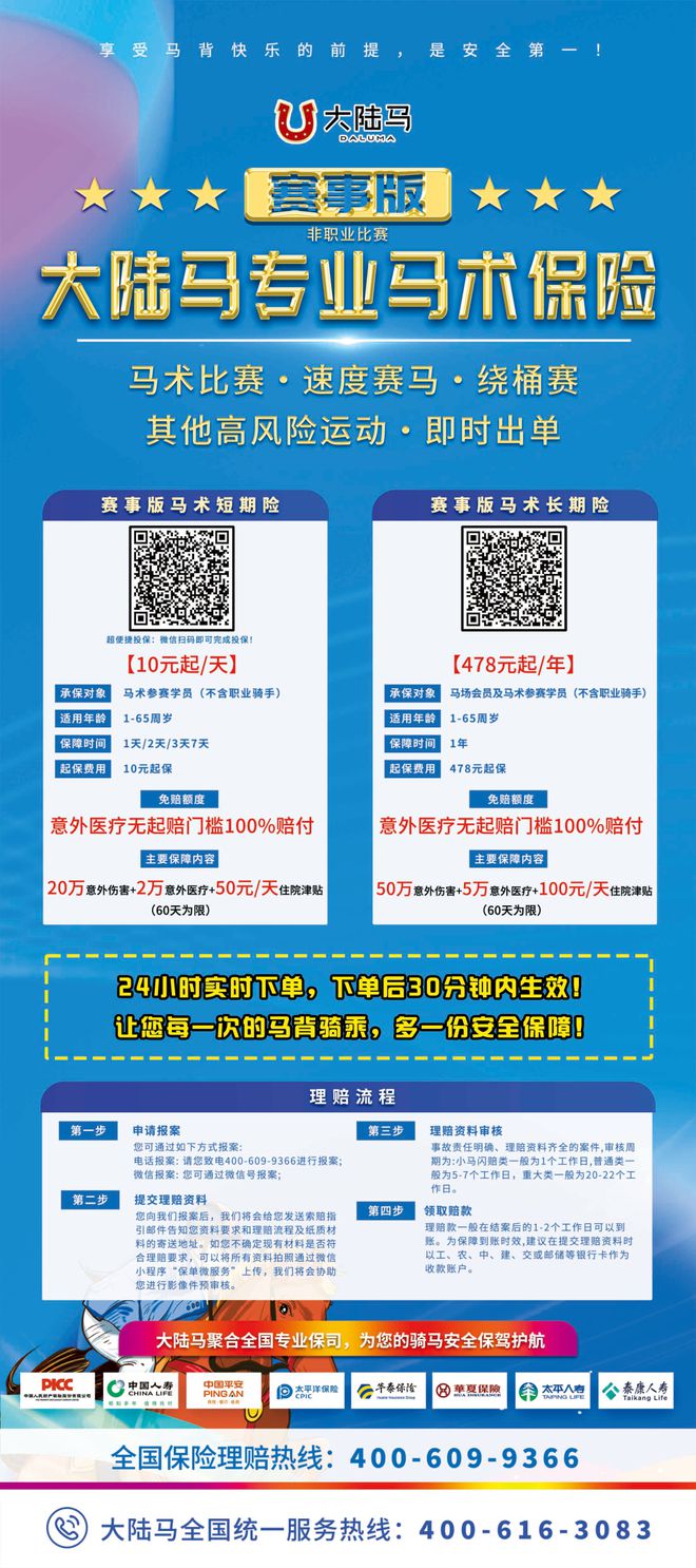 新澳今晚特马上9点30,精选解析解释落实,新澳今晚特马精选解析与落实策略，9点30分的期待