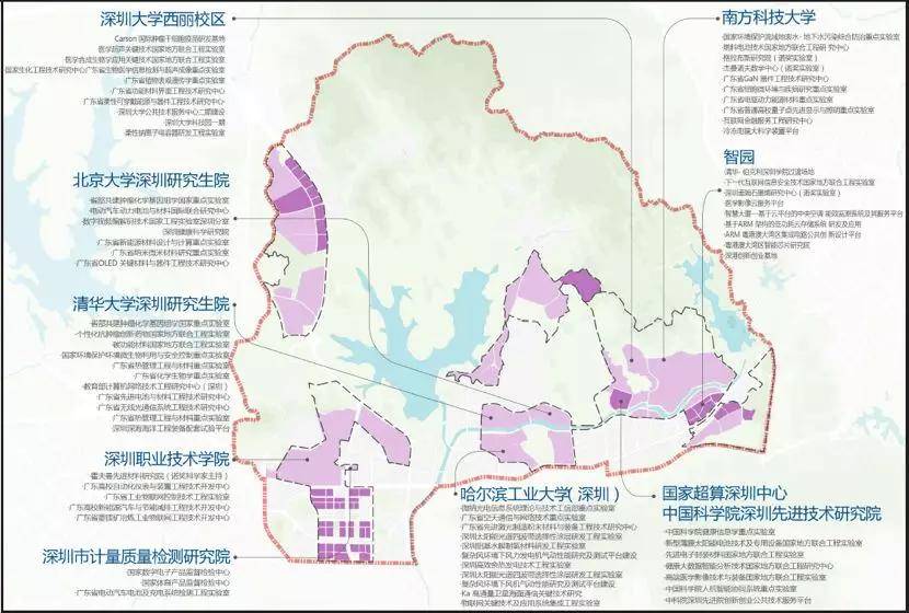 2025年新澳门开码记录,精选解析解释落实,探索未来澳门彩票市场，解析新澳门开码记录与落实策略