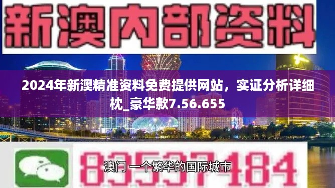 新澳门最精准正最精准查询,详细解答解释落实,新澳门最精准查询，解读与落实之道