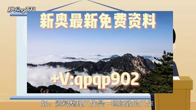 2024年正版资料免费大全中特_准确资料解释落实,2024年正版资料免费大全，中特准确资料的解释与落实