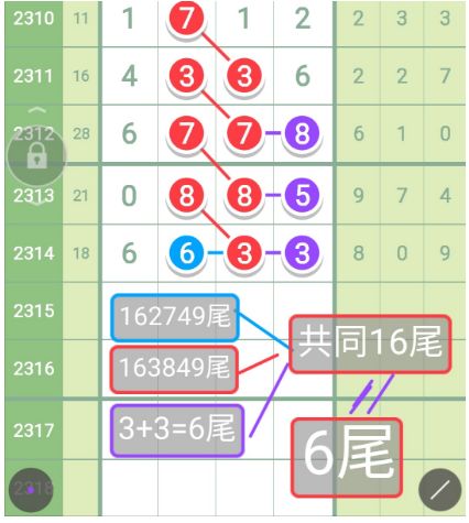 新澳门今晚特马号码推荐,详细解答解释落实,澳门今晚特马号码推荐，深度解析与预测依据